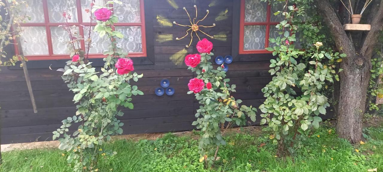 Ket Puli Vendeghaz Daire Bekescsaba Dış mekan fotoğraf