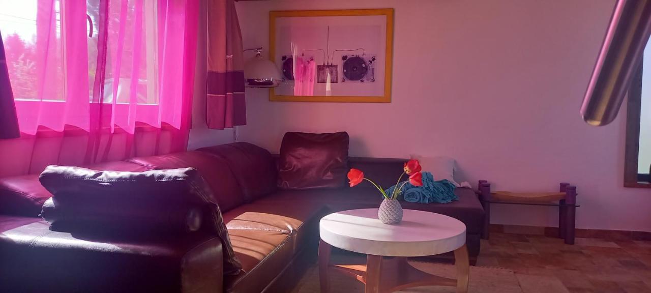 Ket Puli Vendeghaz Daire Bekescsaba Dış mekan fotoğraf