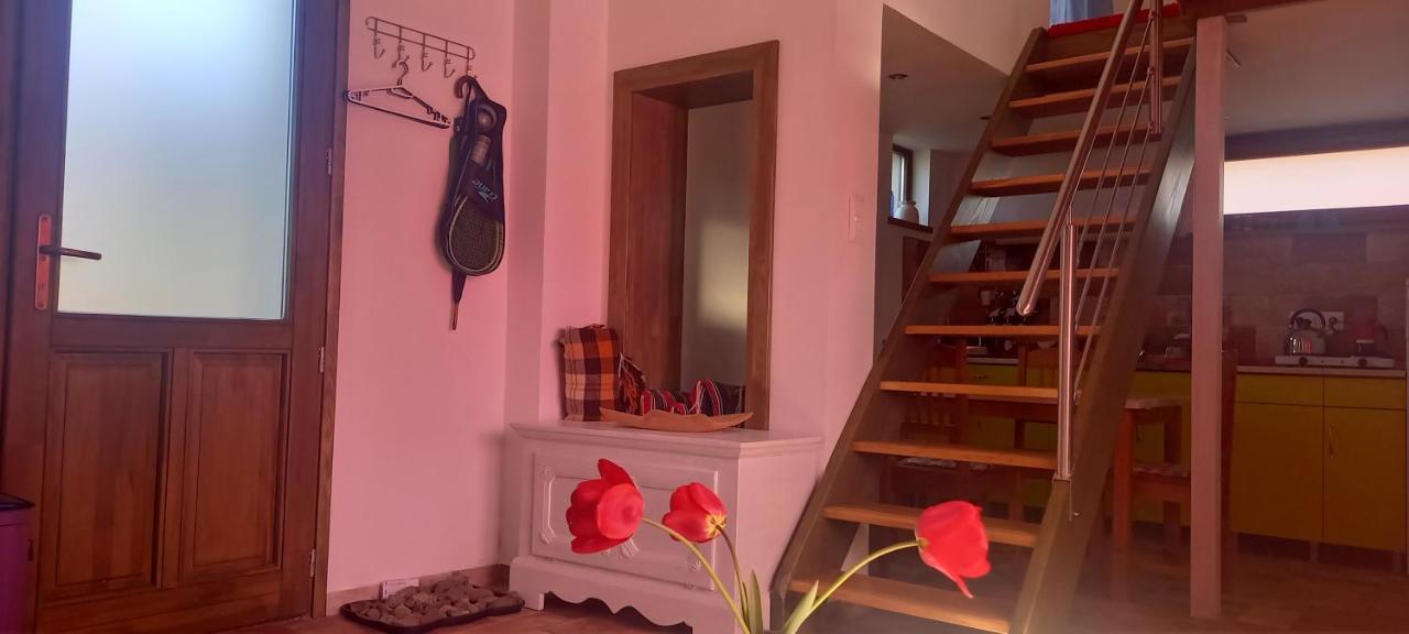 Ket Puli Vendeghaz Daire Bekescsaba Dış mekan fotoğraf