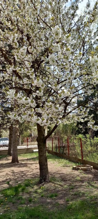 Ket Puli Vendeghaz Daire Bekescsaba Dış mekan fotoğraf
