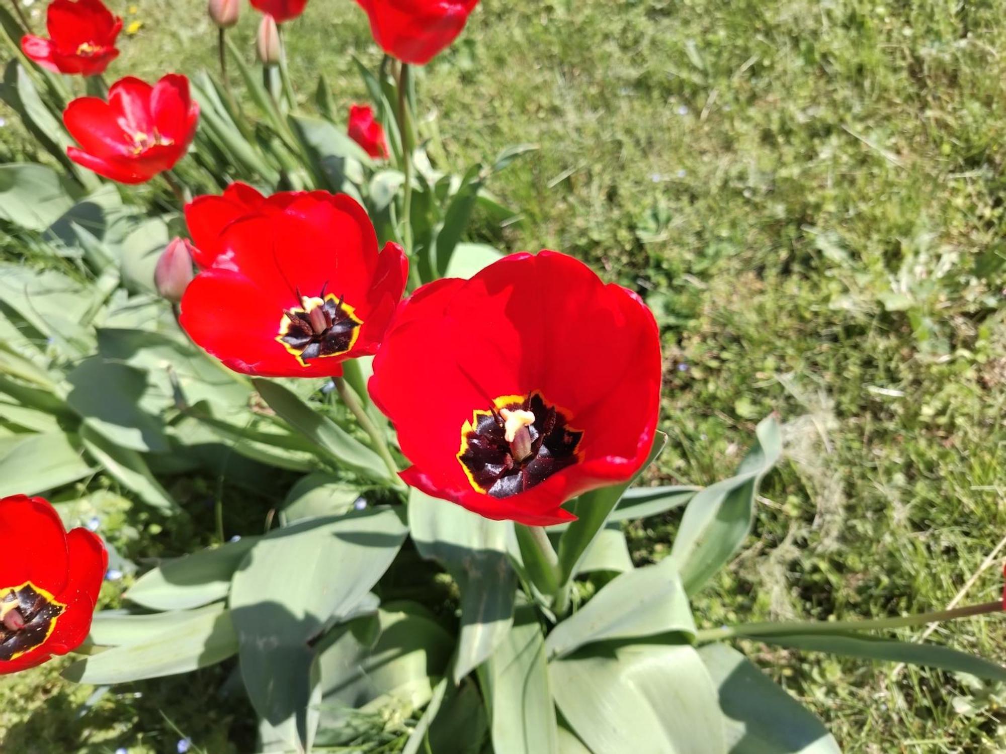 Ket Puli Vendeghaz Daire Bekescsaba Dış mekan fotoğraf