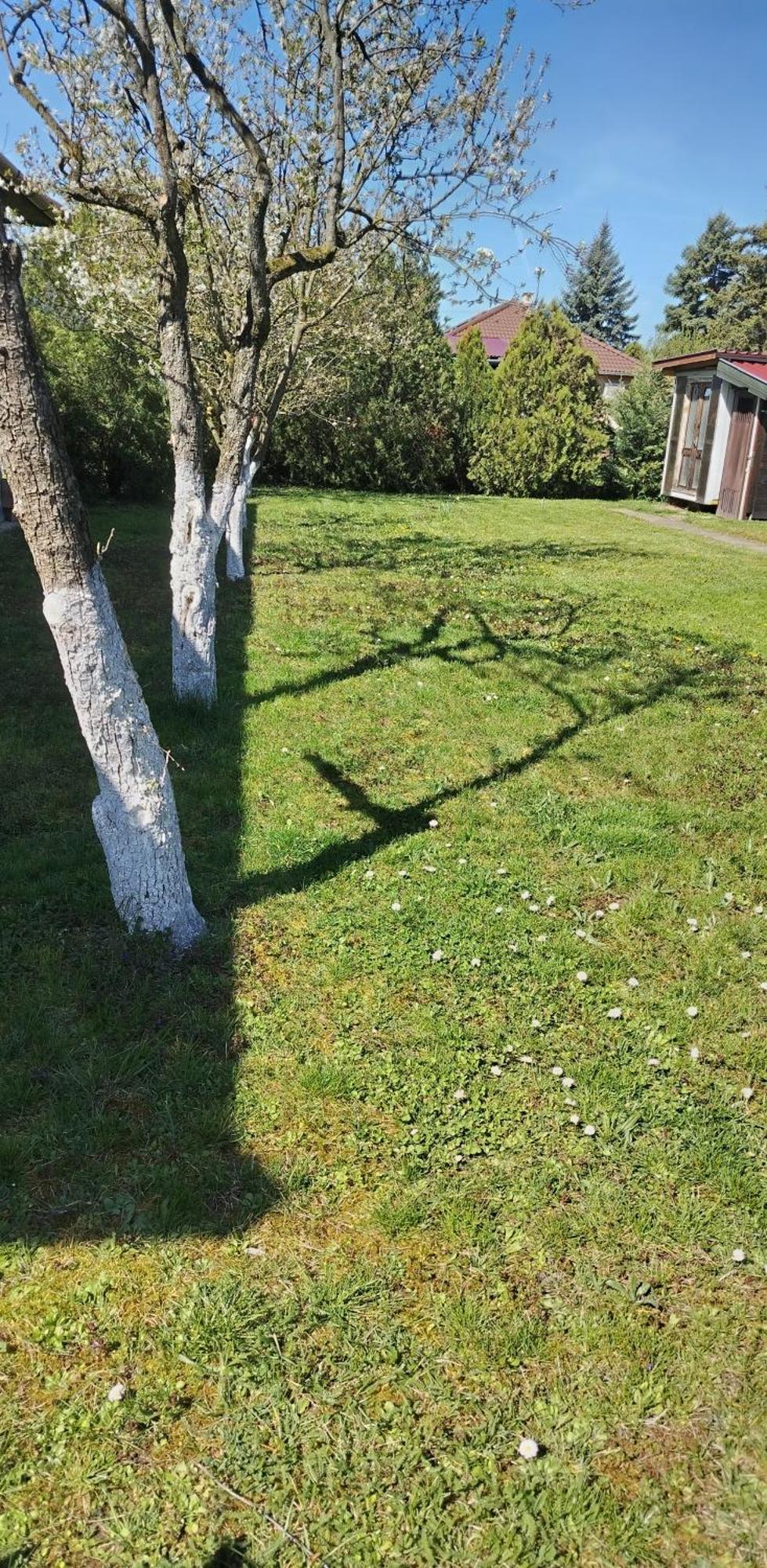 Ket Puli Vendeghaz Daire Bekescsaba Dış mekan fotoğraf