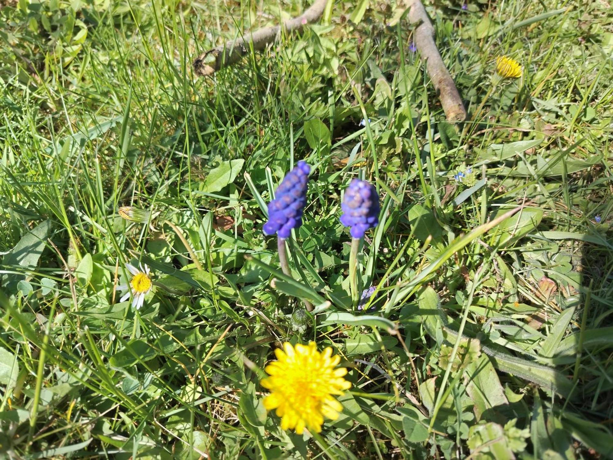 Ket Puli Vendeghaz Daire Bekescsaba Dış mekan fotoğraf